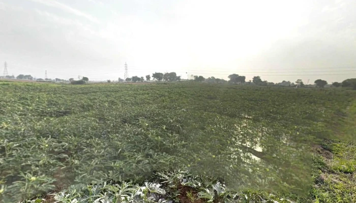 Taorurural -  Street View 360deg - Taorurural