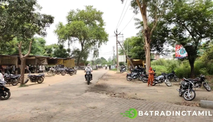 Teecil Aapiis Reettaar Ellaam - Radaur, ராதௌர்