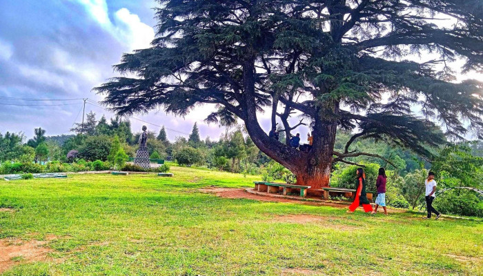 Ttiraatt Cing Ikkoolaajikkl Anntt Heritttteej Paark Ellaam - Mairang