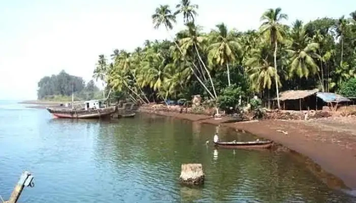 Ttphool Kttrrkrai - டப்ஹோல்