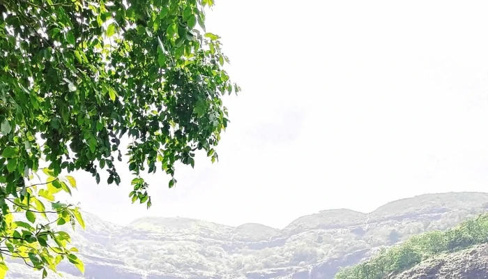 Zenith Waterfall -  விலை - Khopoli