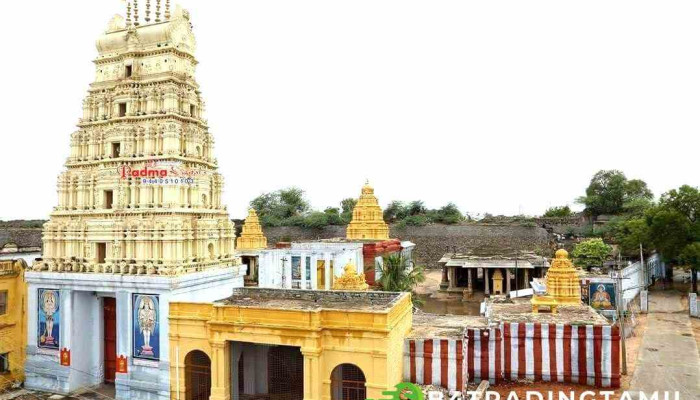 கட்வால் போர்ட் - Ganjipeta