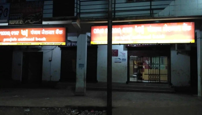 பஞ்சாப் நேஷனல் வங்கி - Banapur