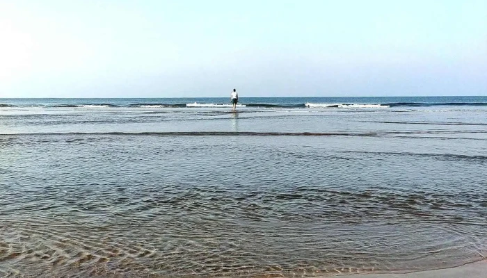 மொர்ஜிம் பீச் கோ - Morjim