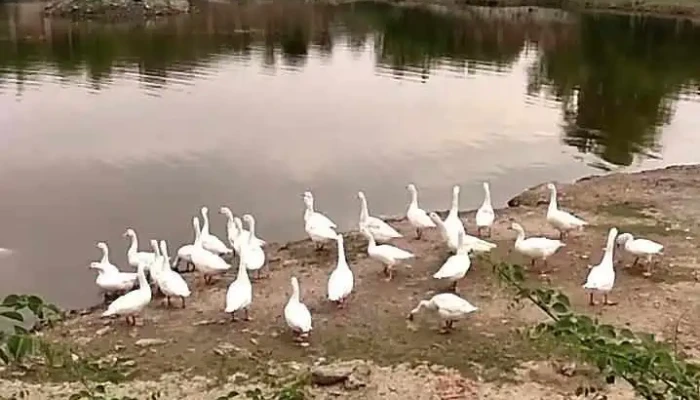 ஸ்மிருதி வான் கார்டன் - Bhilwara